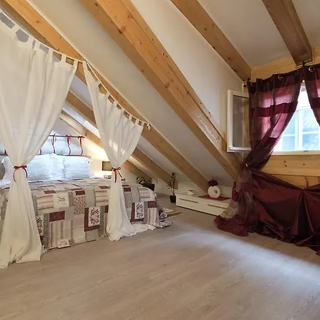 Mishel דוברובניק